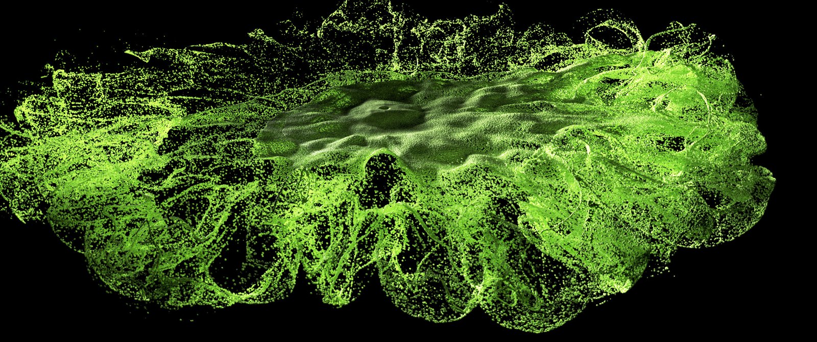 Explosia_Advect_RENDER_frame58_Green