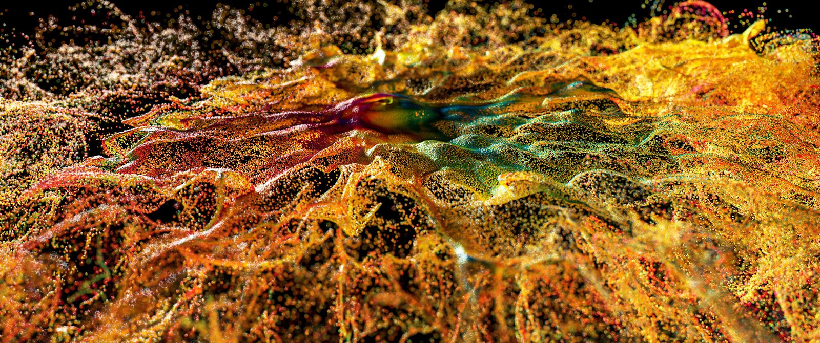 Explosia_Advect_RENDER_frame80_Yelos