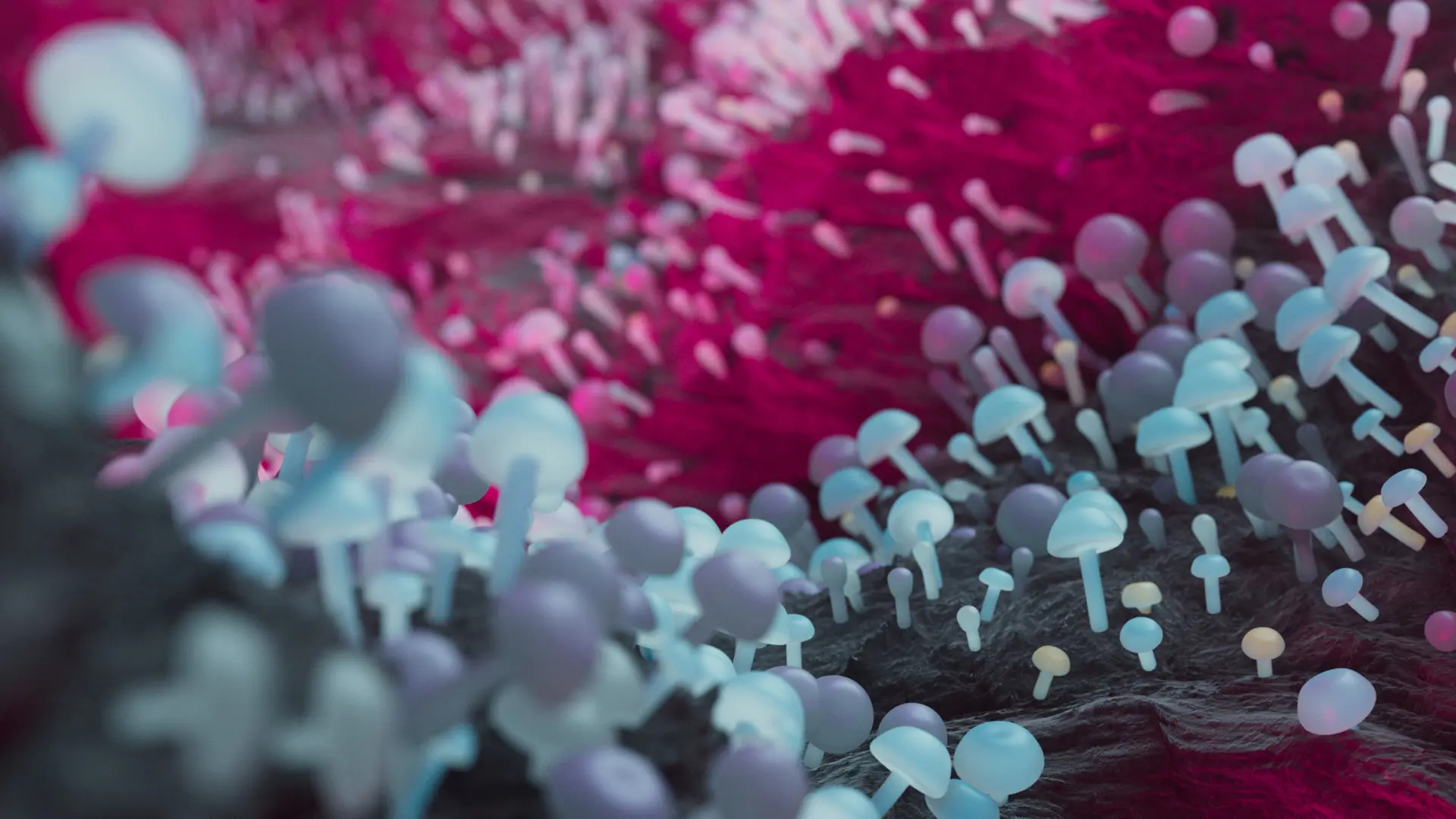JerDaps_Week2_GrowingMushroom_Redshift_ROP1_0137