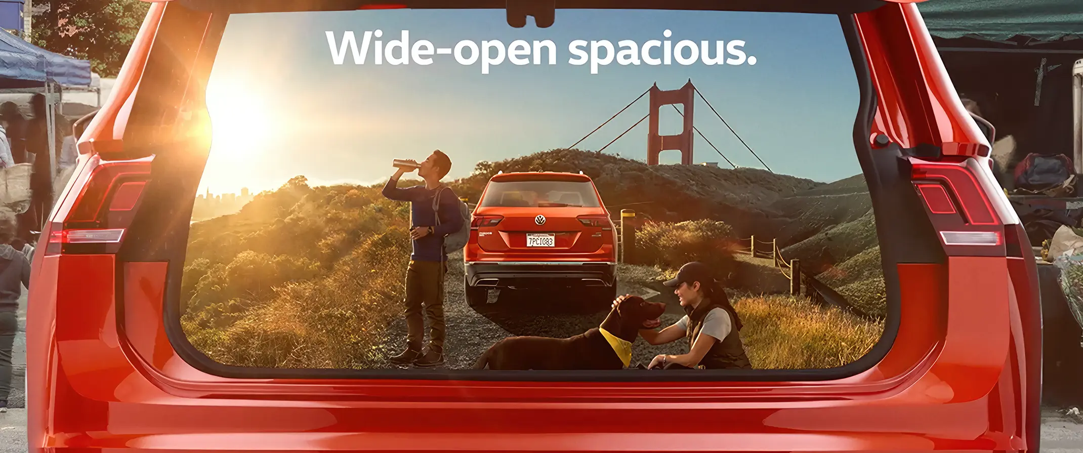 Tiguan - Great Indoors